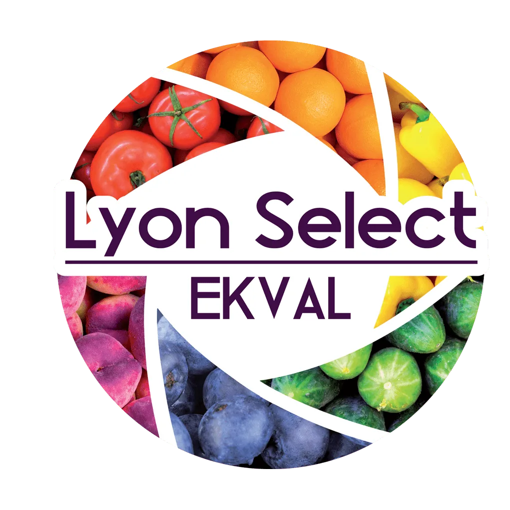 Lyon Select Ekval